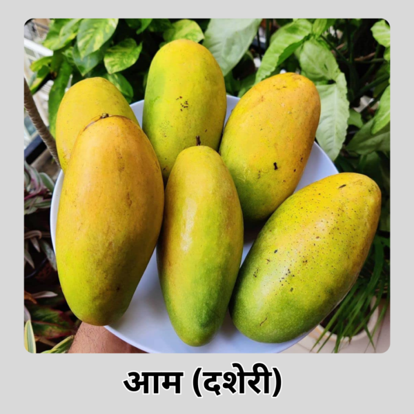 Mango (Deshari)