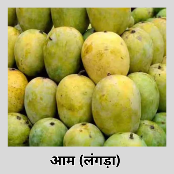 Mango (Langra)