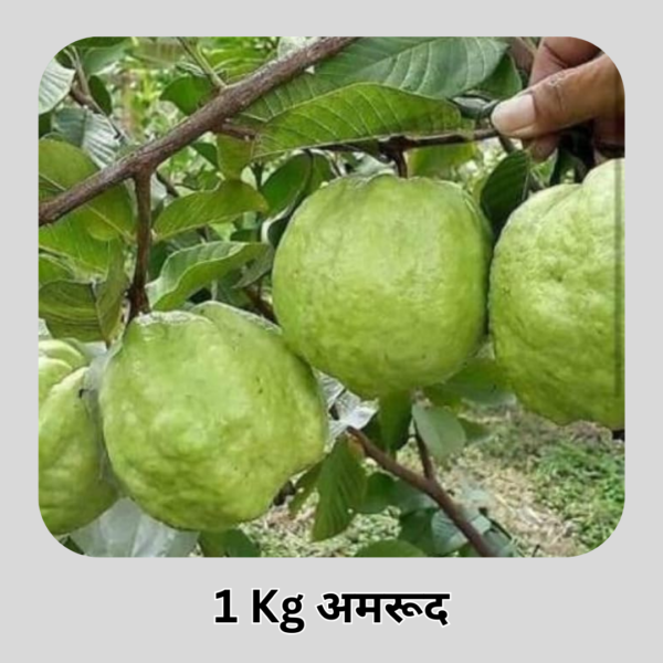 1kg Guava